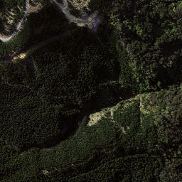 Satellite imagery of Kopuawhara Disaster 1938, NZ