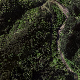 Satellite imagery of Kopuawhara Disaster 1938, NZ