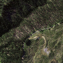 Satellite imagery of Kopuawhara Disaster 1938, NZ