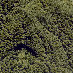 Satellite imagery of 10093, NZ