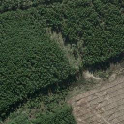Satellite imagery of DB (Tokaanu SD), NZ