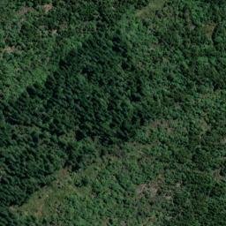 Satellite imagery of XXX (Puketi SD), NZ