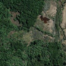 Satellite imagery of XXX (Puketi SD), NZ