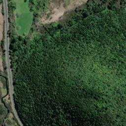 Satellite imagery of XXX (Puketi SD), NZ