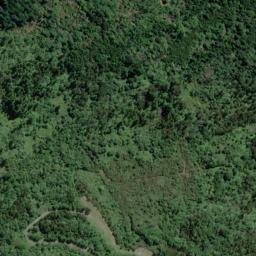 Satellite imagery of XXX (Puketi SD), NZ