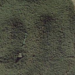 Satellite imagery of A4 (Puketi SD), NZ