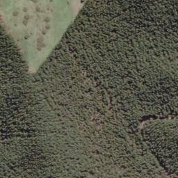 Satellite imagery of A4 (Puketi SD), NZ
