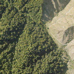 Satellite imagery of 10092, NZ