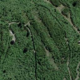 Satellite imagery of XXX (Puketi SD), NZ