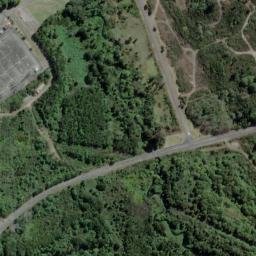 Satellite imagery of XXX (Puketi SD), NZ