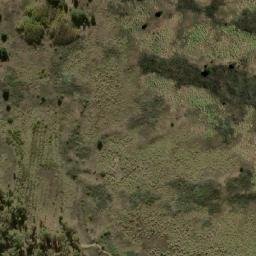 Satellite imagery of survey_point, AR