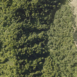 Satellite imagery of 10092, NZ