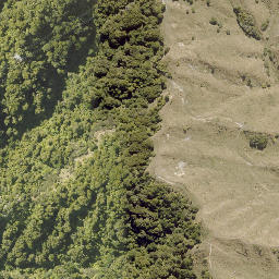 Satellite imagery of 10092, NZ