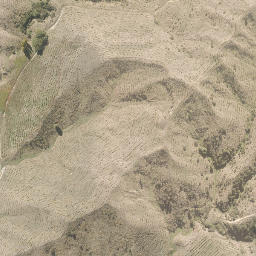 Satellite imagery of 10171 PUHEKI, NZ