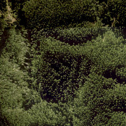 Satellite imagery of MAKAHIWI NO 2, NZ