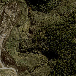Satellite imagery of C WAIROA, NZ
