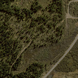 Satellite imagery of C WAIROA, NZ
