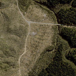 Satellite imagery of C WAIROA, NZ