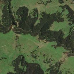 Satellite imagery of K NO 2, NZ