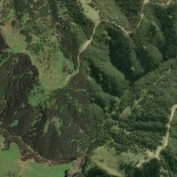 Satellite imagery of K NO 2, NZ