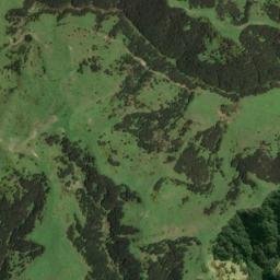 Satellite imagery of K NO 2, NZ
