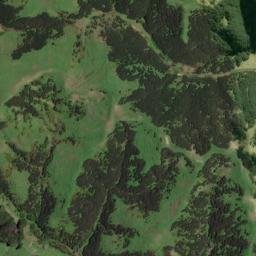 Satellite imagery of K NO 2, NZ