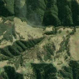 Satellite imagery of K NO 2, NZ