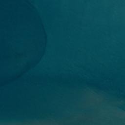 Satellite imagery of Rewarewa Pa, NZ