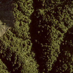 Satellite imagery of TE RUAHINE NO 2, NZ