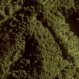 Satellite imagery of TE RUAHINE NO 2, NZ