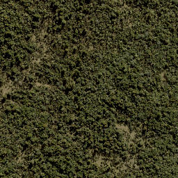 Satellite imagery of Te Porere Redoubt (Upper), NZ