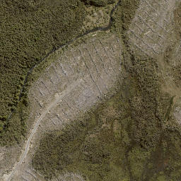 Satellite imagery of Te Porere Redoubt (Lower), NZ