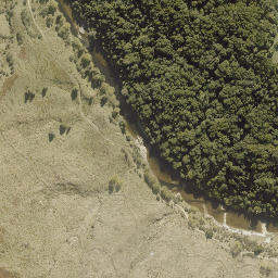 Satellite imagery of Whareriki Pa, NZ