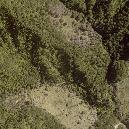 Satellite imagery of TE RUAHINE NO 2, NZ