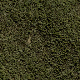 Satellite imagery of Te Porere Redoubt (Upper), NZ