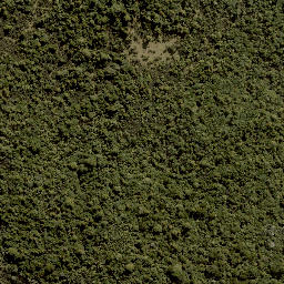 Satellite imagery of Te Porere Redoubt (Upper), NZ