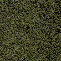 Satellite imagery of Te Porere Redoubt (Upper), NZ