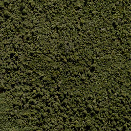 Satellite imagery of X (MOW), NZ