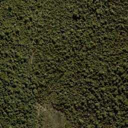 Satellite imagery of X (MOW), NZ