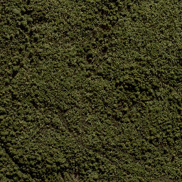 Satellite imagery of X (MOW), NZ