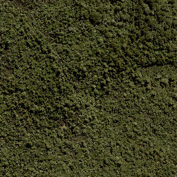 Satellite imagery of Te Porere Redoubt (Upper), NZ