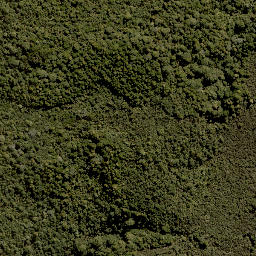 Satellite imagery of Te Porere Redoubt (Upper), NZ