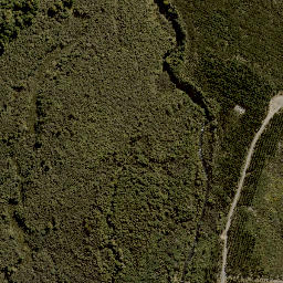 Satellite imagery of Te Porere Redoubt (Lower), NZ