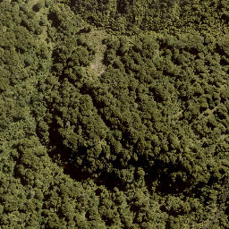 Satellite imagery of PUKERATA NO 2, NZ
