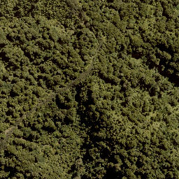 Satellite imagery of PUKERATA NO 2, NZ