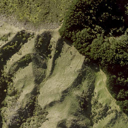 Satellite imagery of PUKEATUA NO 2, NZ