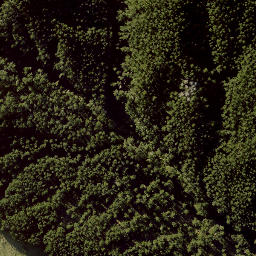 Satellite imagery of PUKEATUA NO 2, NZ