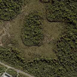 Satellite imagery of X (MOW), NZ