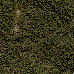 Satellite imagery of X (MOW), NZ