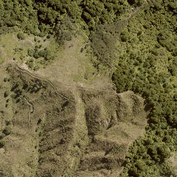 Satellite imagery of PUKERATA NO 2, NZ
